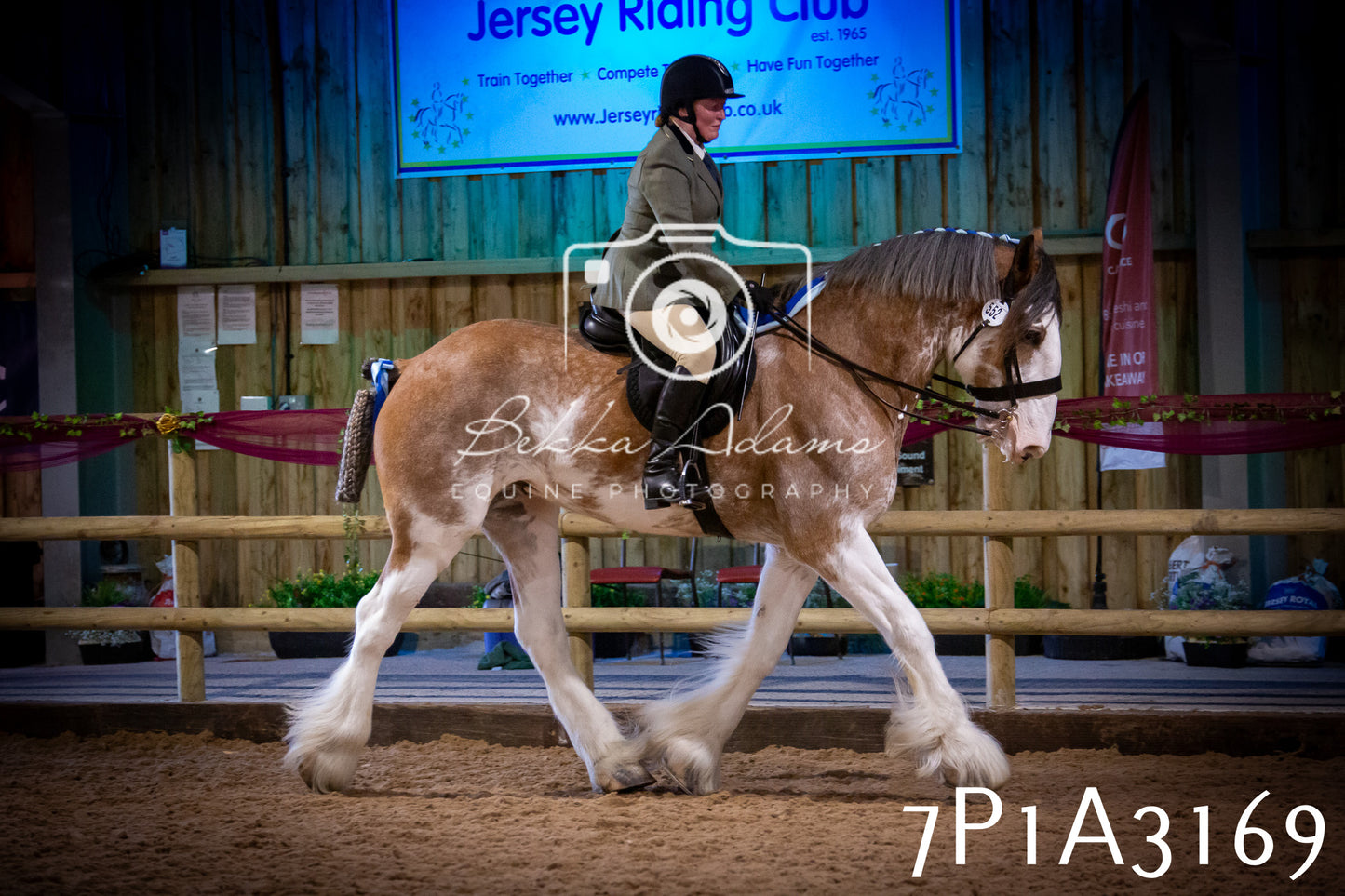 JHOYS 2025 - Ridden Showing - 28th September - pt4