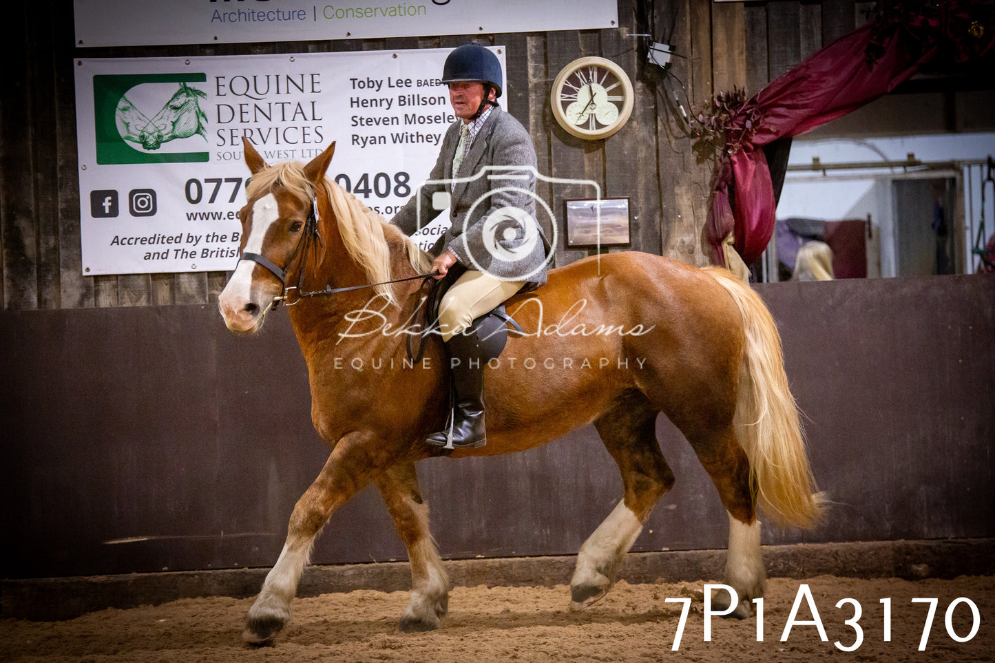 JHOYS 2025 - Ridden Showing - 28th September - pt4