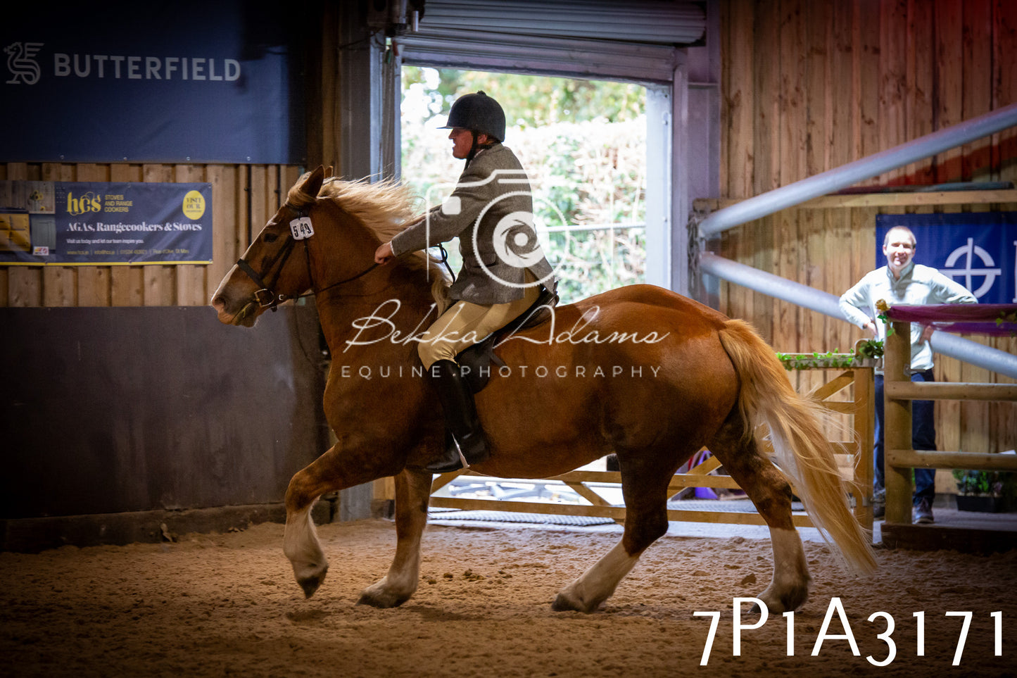 JHOYS 2025 - Ridden Showing - 28th September - pt4