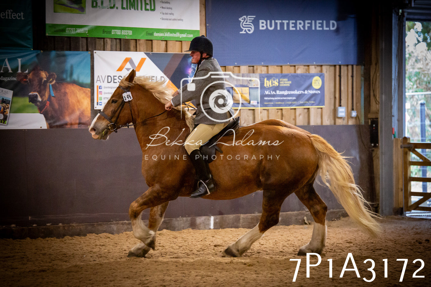 JHOYS 2025 - Ridden Showing - 28th September - pt4