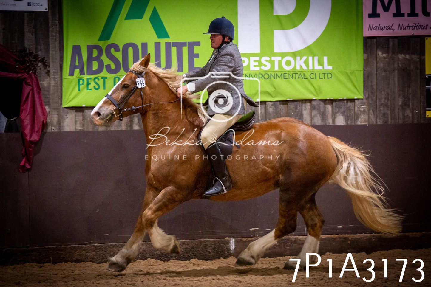 JHOYS 2025 - Ridden Showing - 28th September - pt4