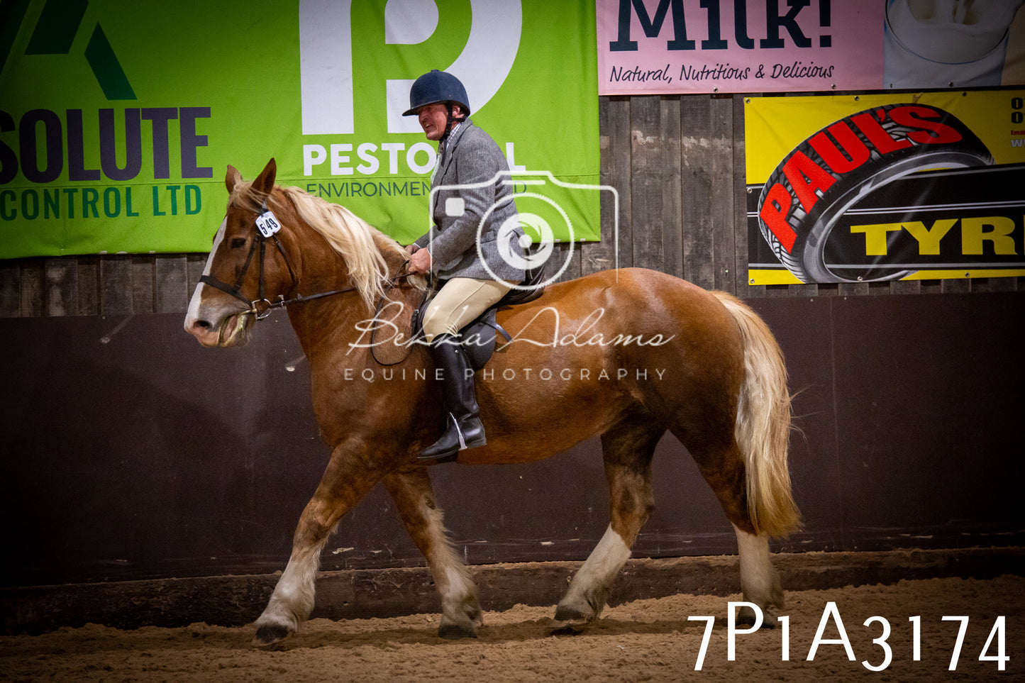 JHOYS 2025 - Ridden Showing - 28th September - pt4