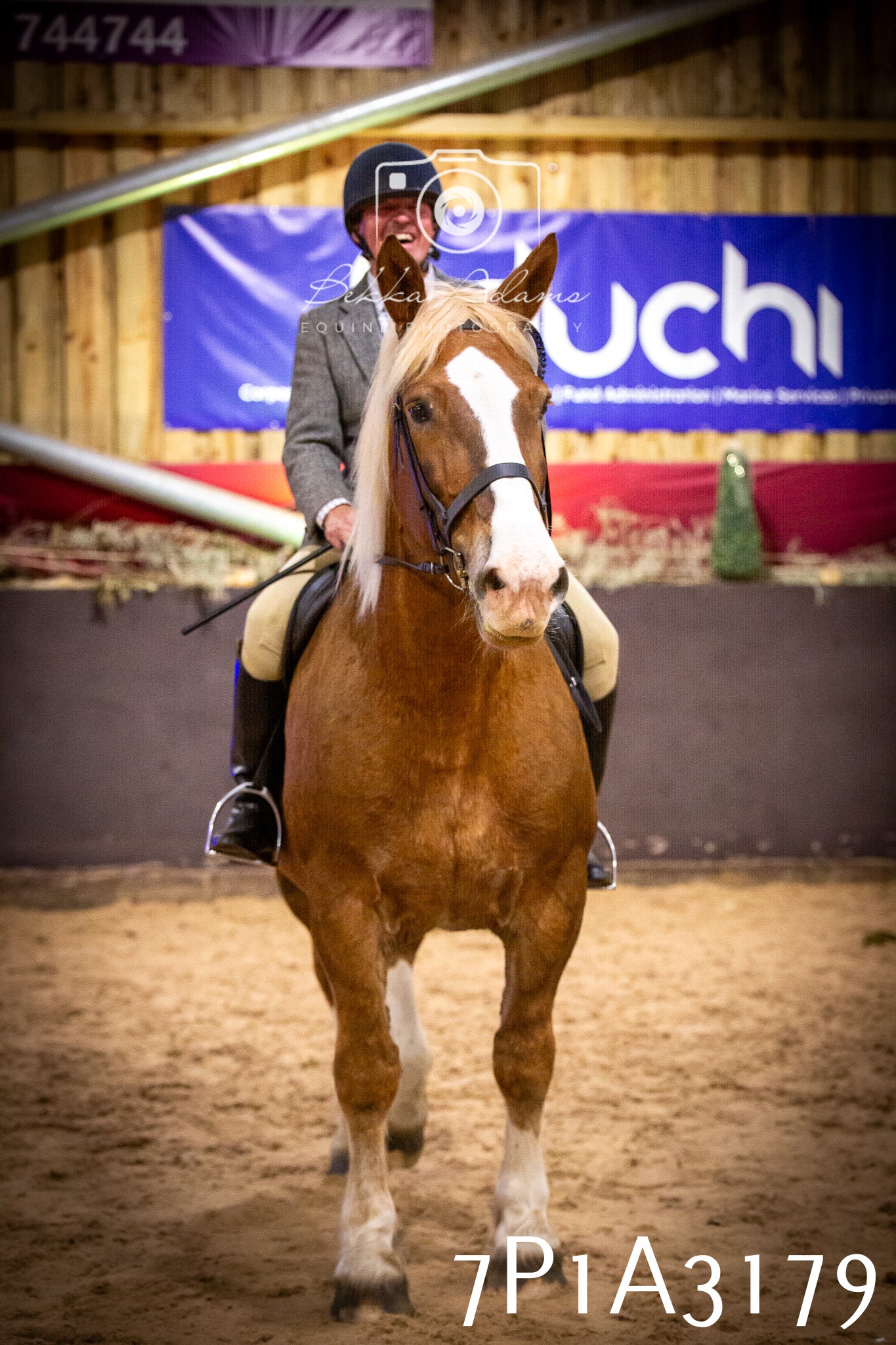 JHOYS 2025 - Ridden Showing - 28th September - pt4