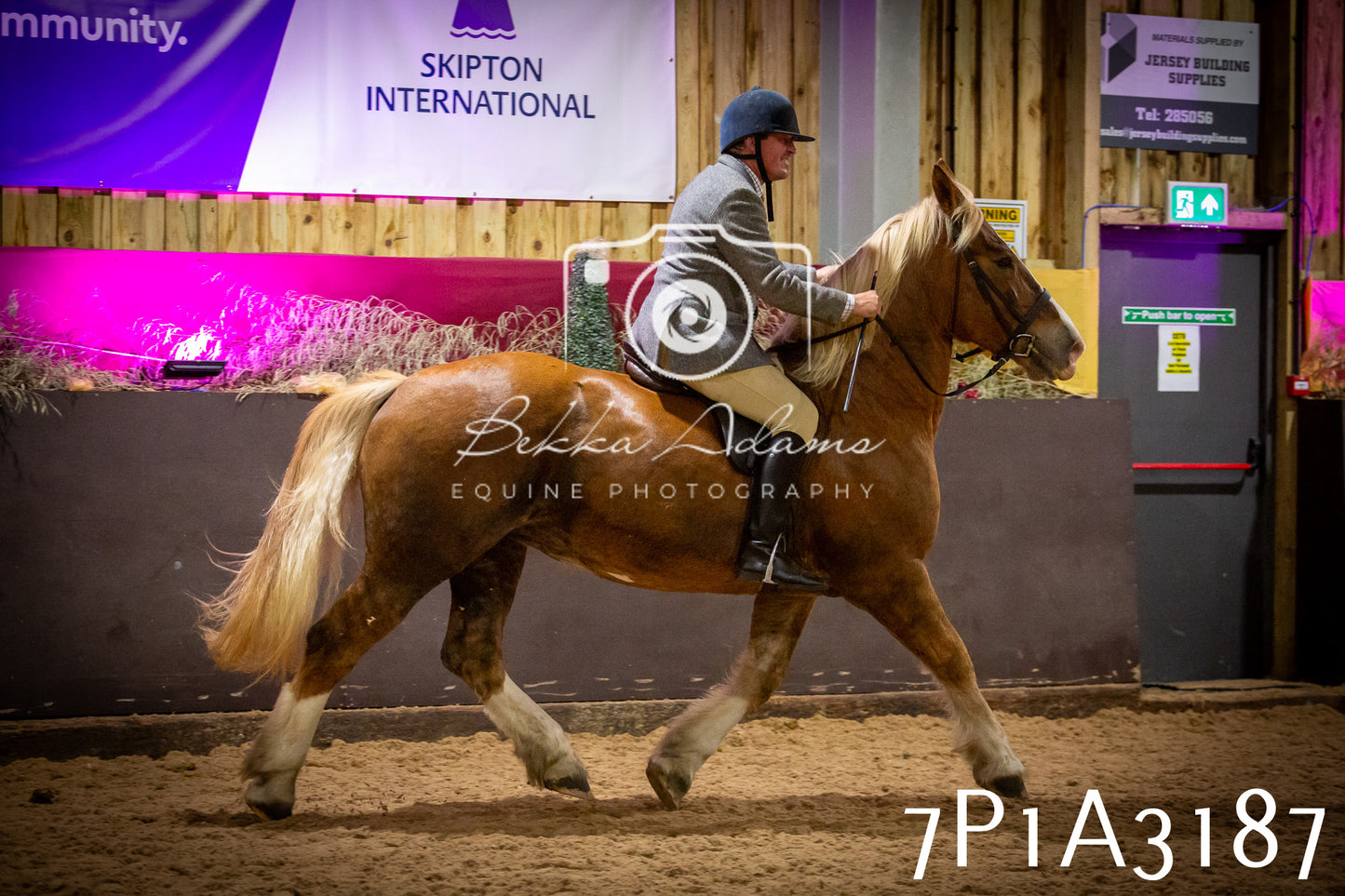 JHOYS 2025 - Ridden Showing - 28th September - pt4