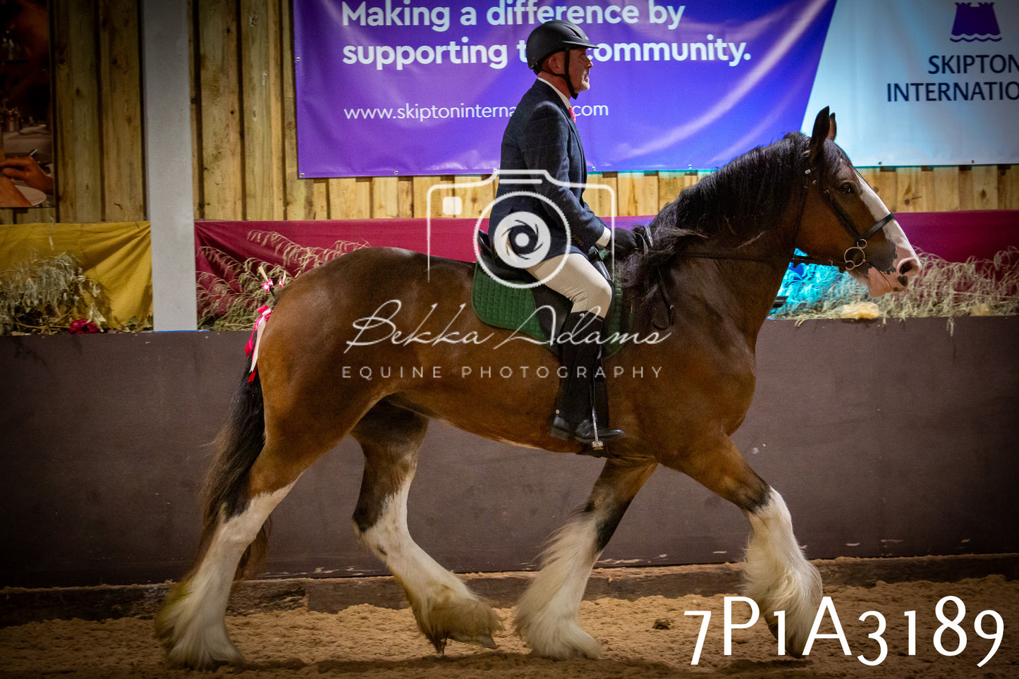 JHOYS 2025 - Ridden Showing - 28th September - pt4