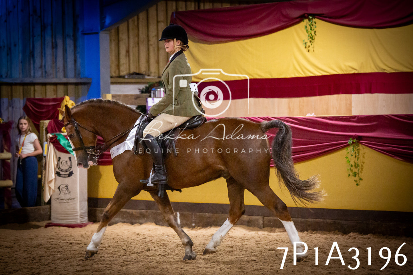 JHOYS 2025 - Ridden Showing - 28th September - pt4