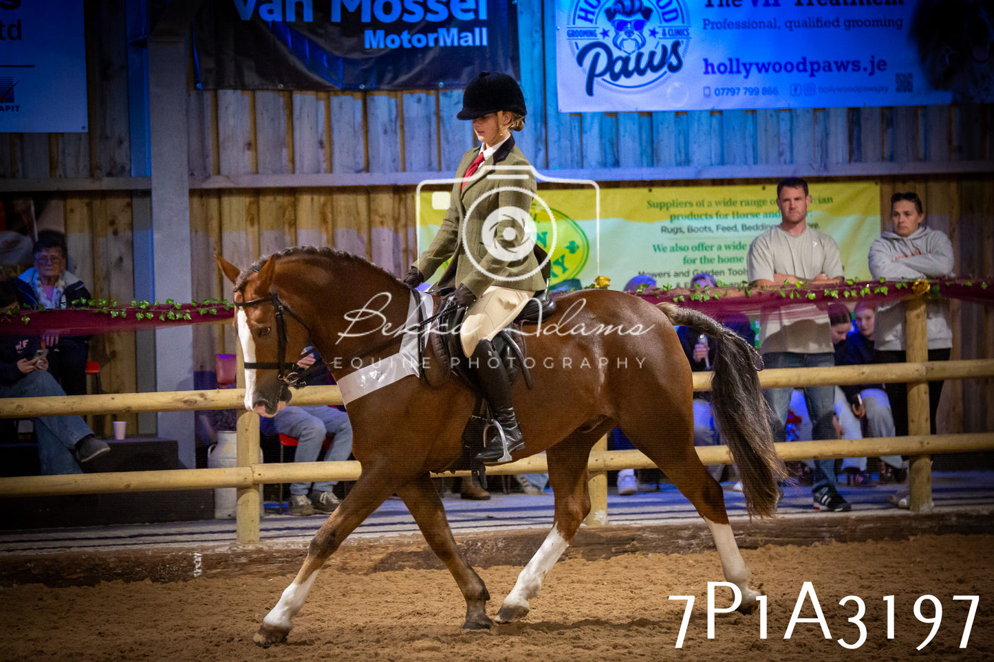 JHOYS 2025 - Ridden Showing - 28th September - pt4