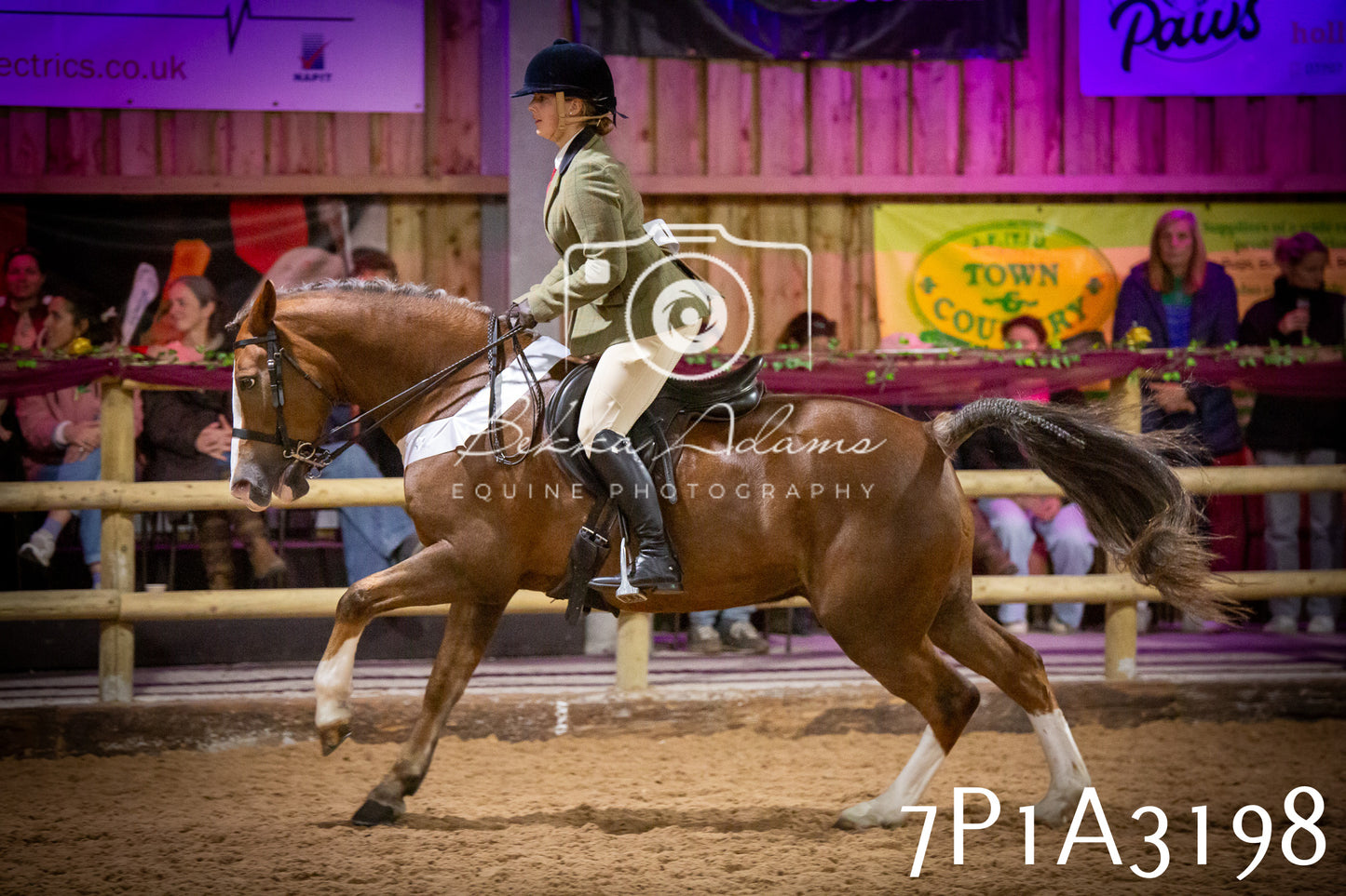 JHOYS 2025 - Ridden Showing - 28th September - pt4