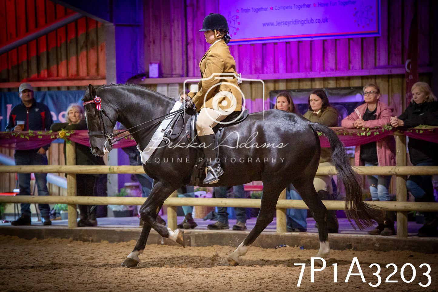 JHOYS 2025 - Ridden Showing - 28th September - pt4