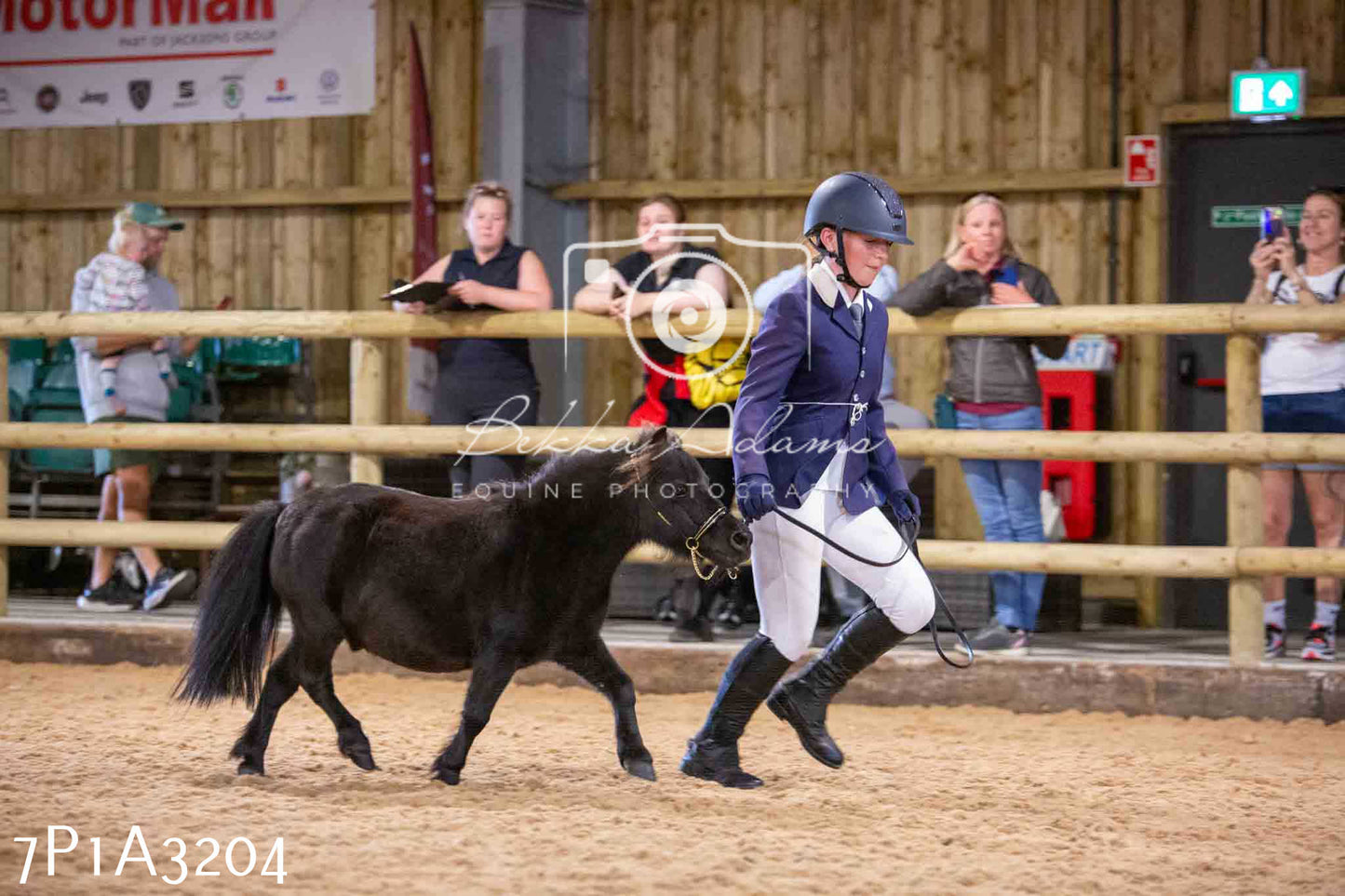 Home Farm Funshine Show 2024 - Inhand Showing 14th September