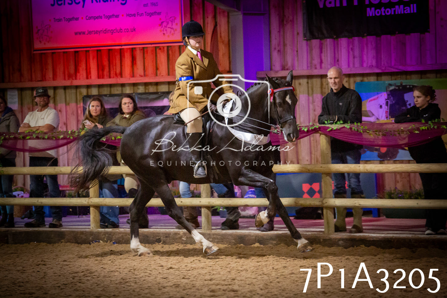 JHOYS 2025 - Ridden Showing - 28th September - pt4