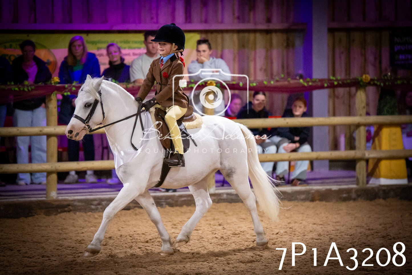 JHOYS 2025 - Ridden Showing - 28th September - pt4