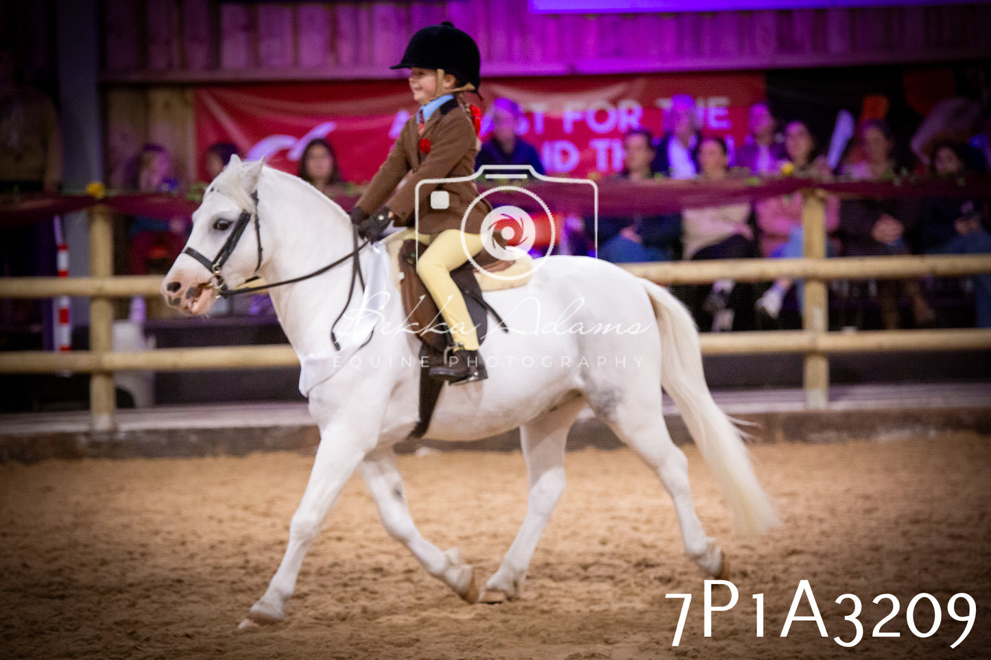 JHOYS 2025 - Ridden Showing - 28th September - pt4