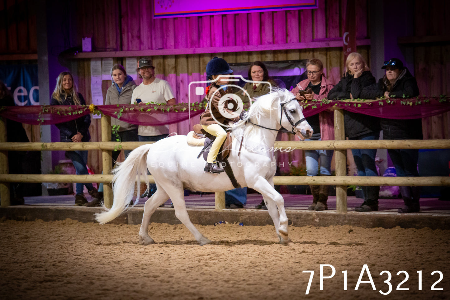 JHOYS 2025 - Ridden Showing - 28th September - pt4