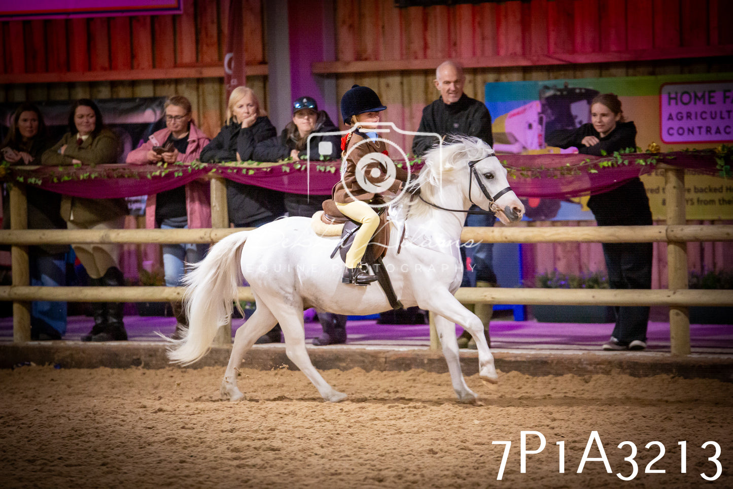 JHOYS 2025 - Ridden Showing - 28th September - pt4