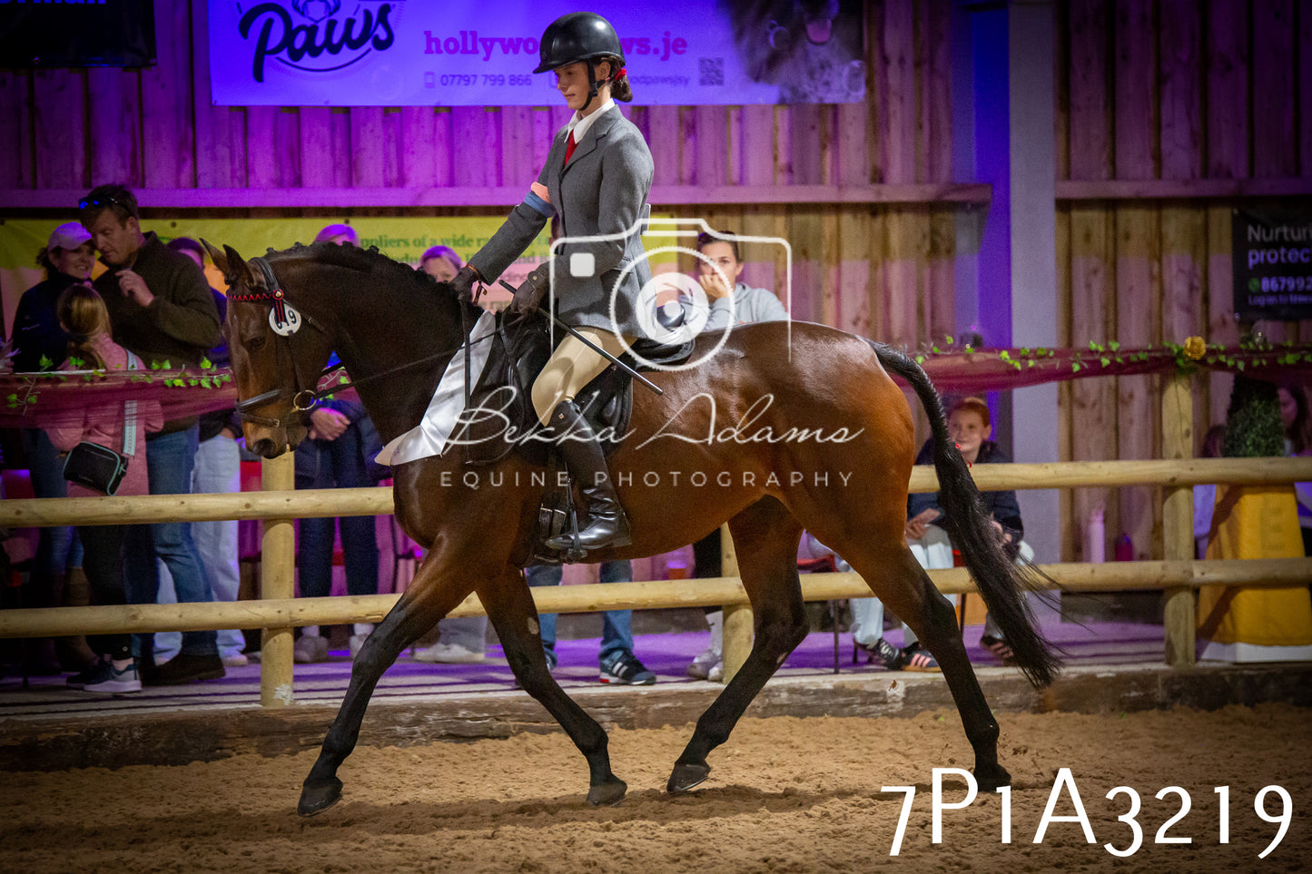 JHOYS 2025 - Ridden Showing - 28th September - pt4