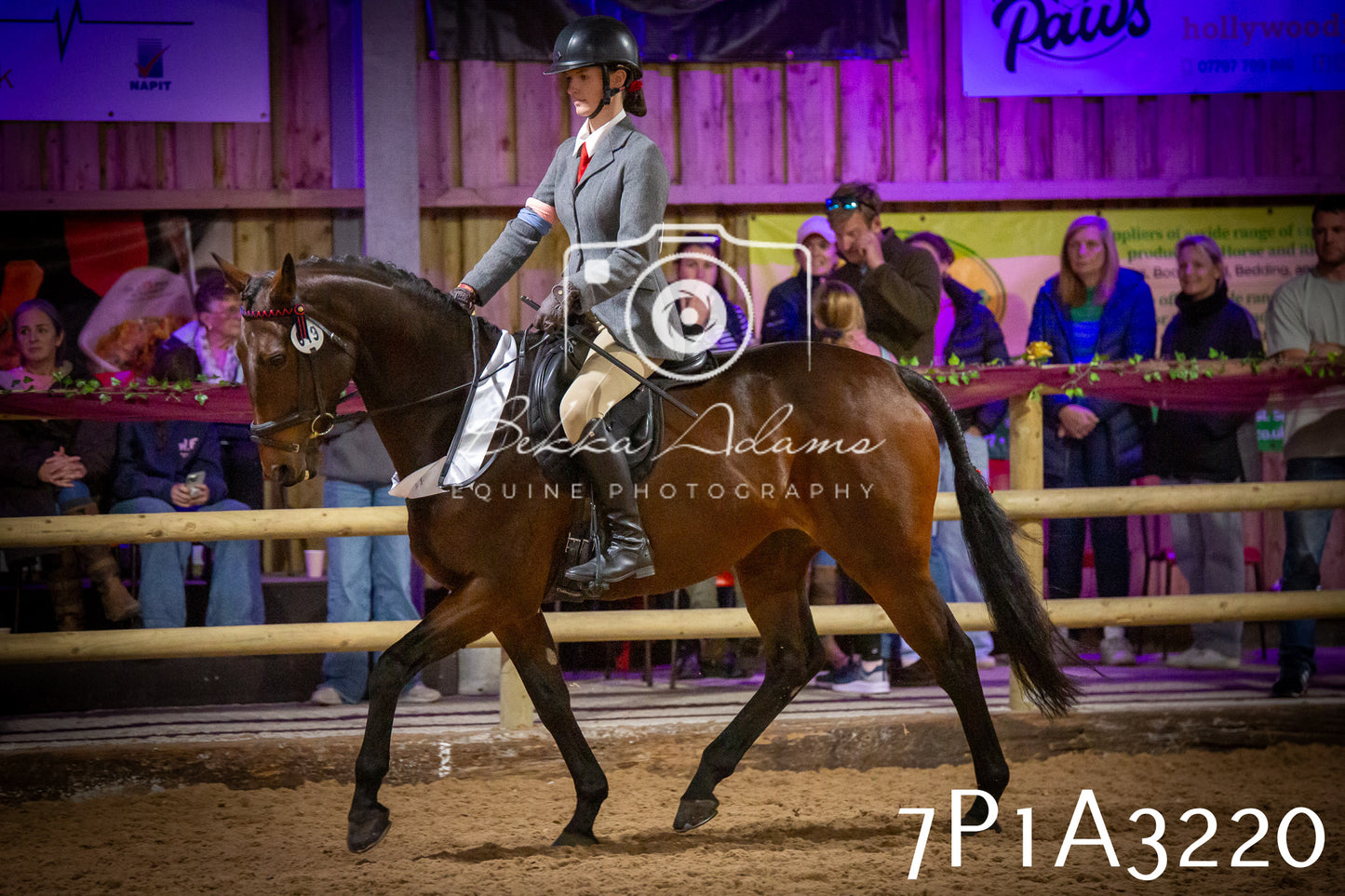 JHOYS 2025 - Ridden Showing - 28th September - pt4