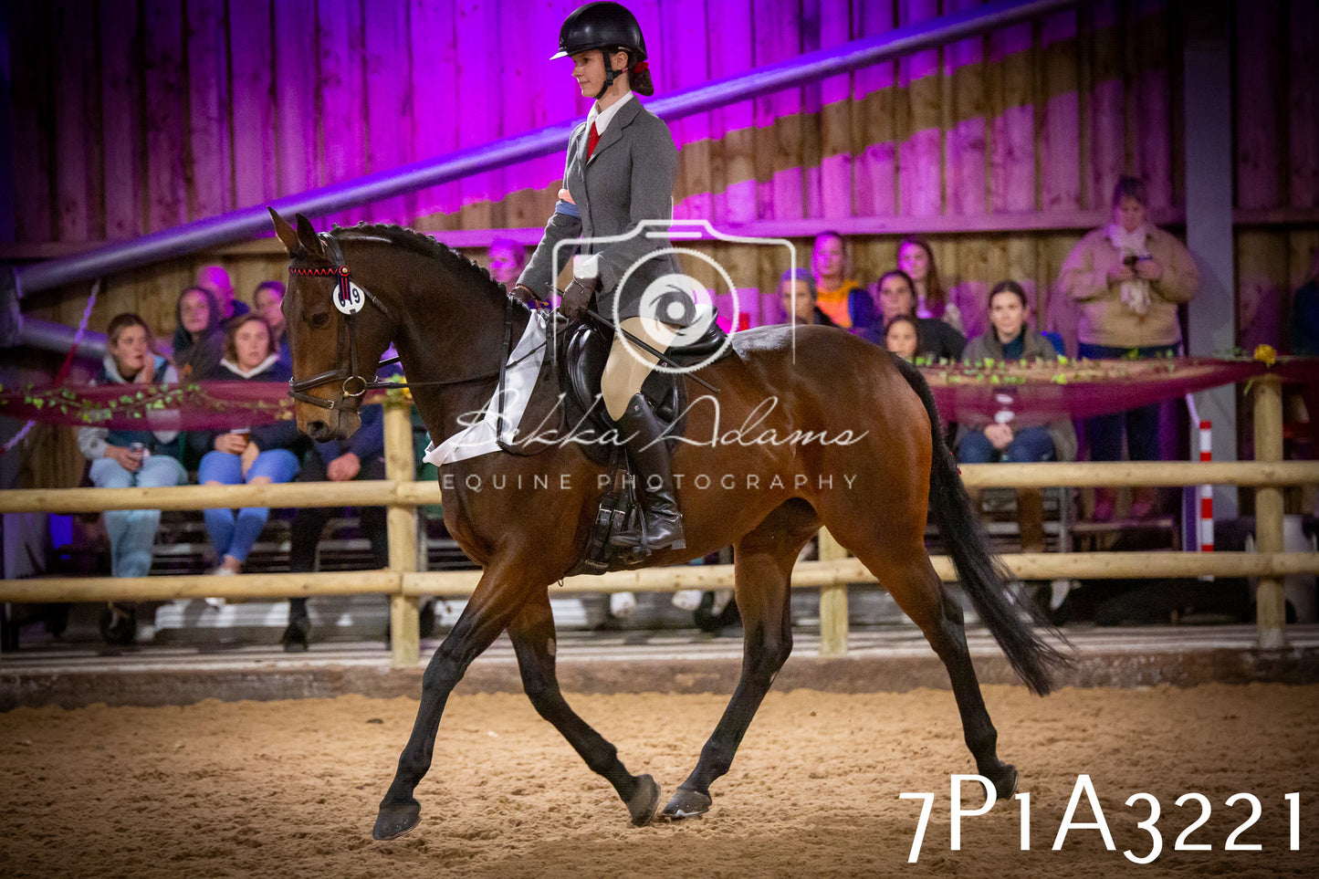 JHOYS 2025 - Ridden Showing - 28th September - pt4