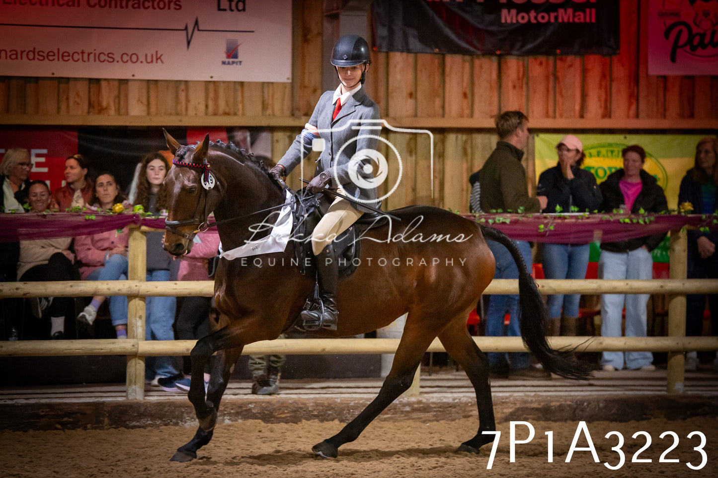 JHOYS 2025 - Ridden Showing - 28th September - pt4