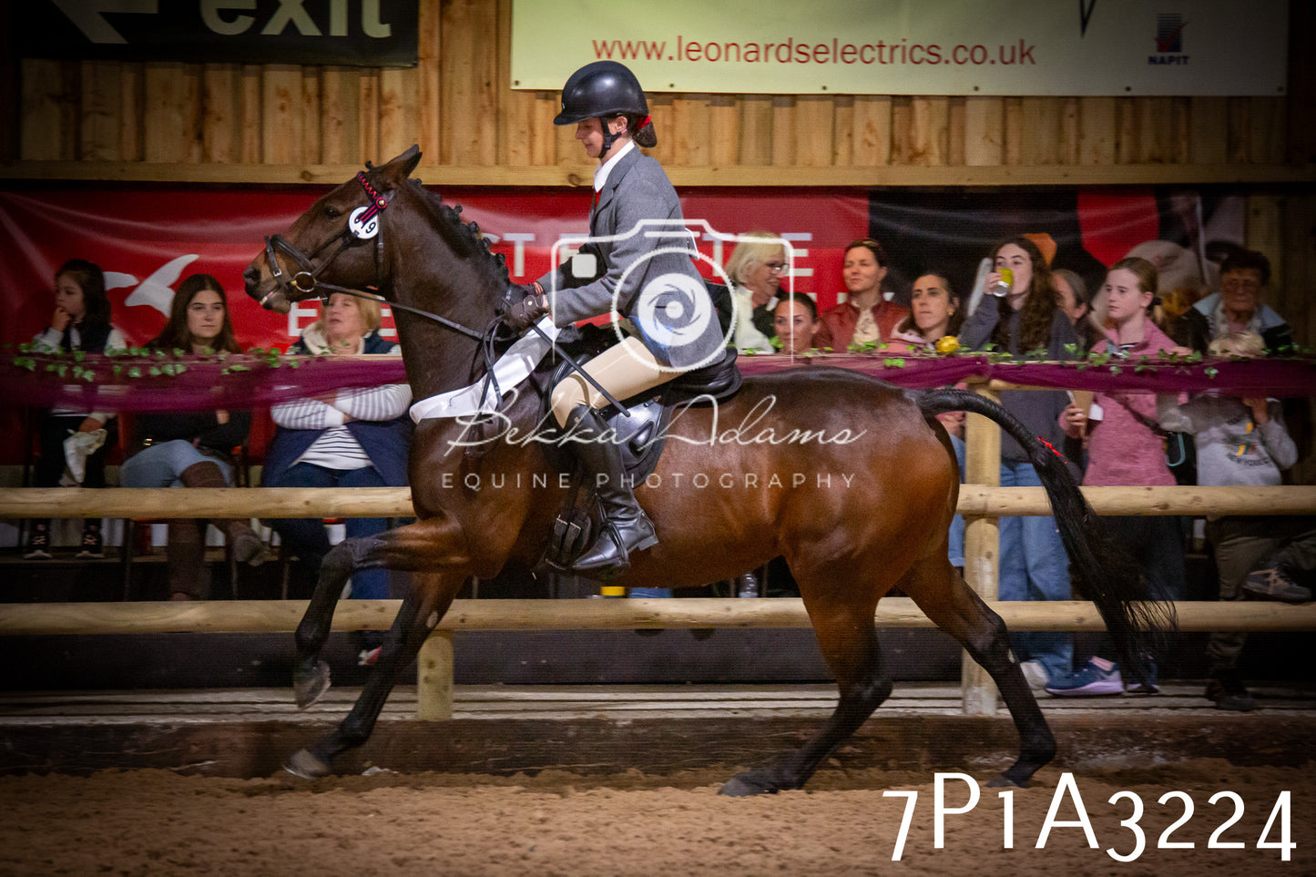 JHOYS 2025 - Ridden Showing - 28th September - pt4