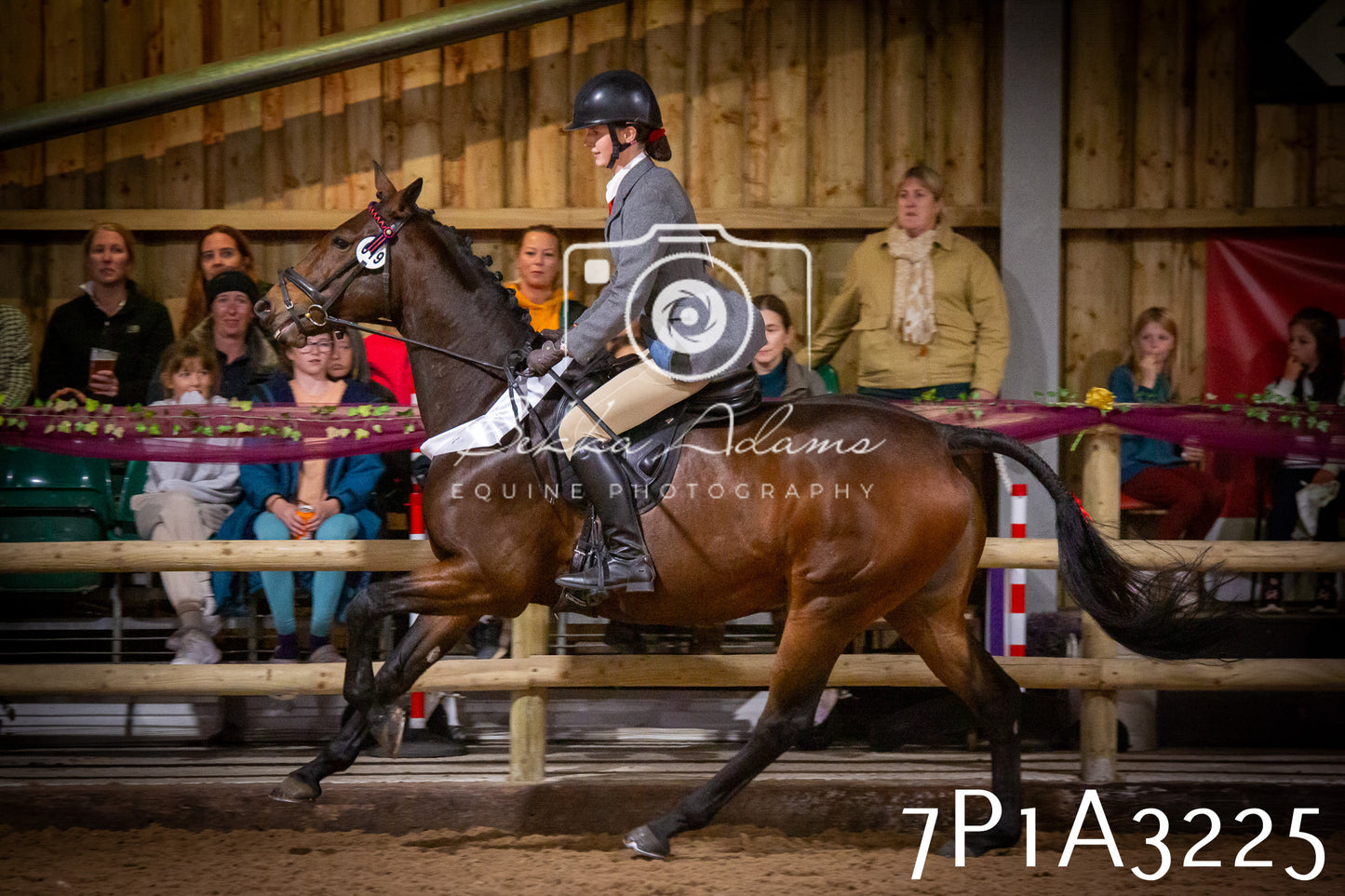 JHOYS 2025 - Ridden Showing - 28th September - pt4