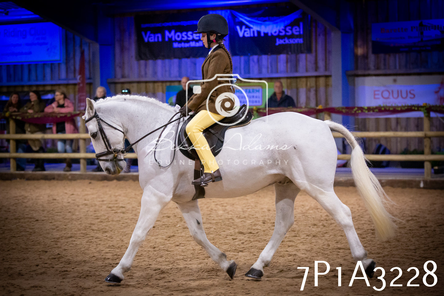 JHOYS 2025 - Ridden Showing - 28th September - pt4