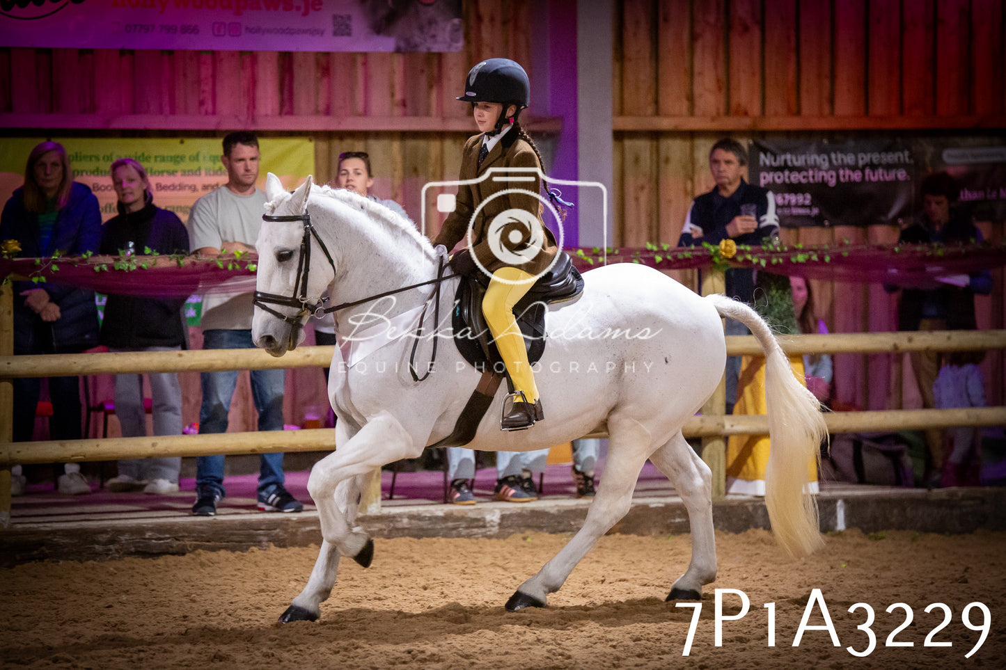 JHOYS 2025 - Ridden Showing - 28th September - pt4