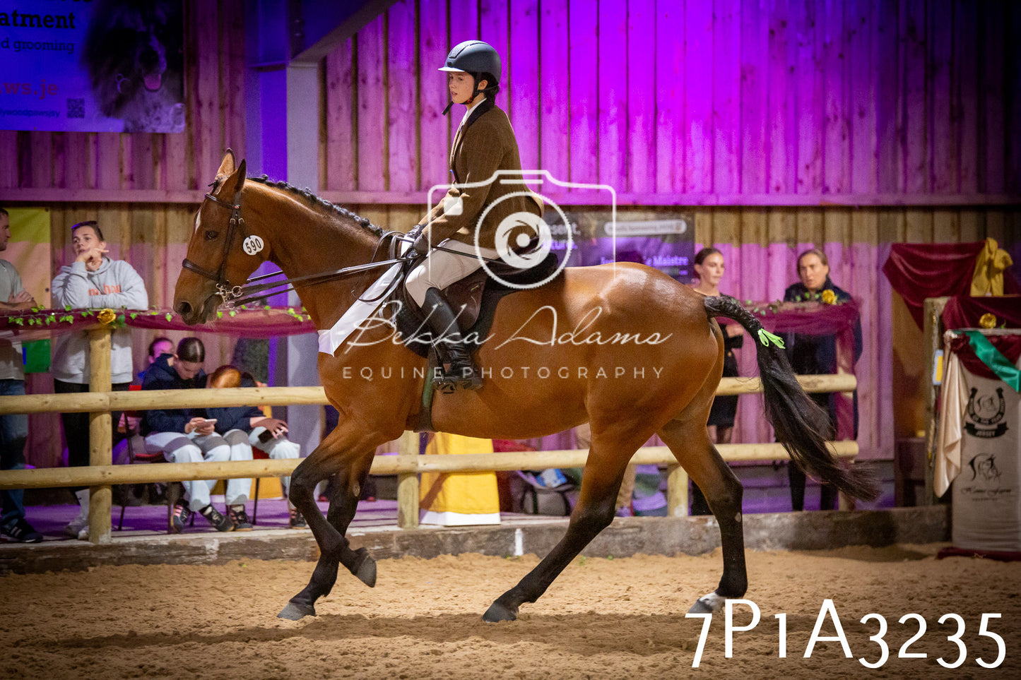 JHOYS 2025 - Ridden Showing - 28th September - pt4