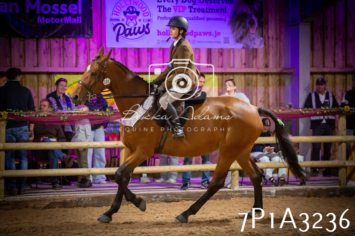 JHOYS 2025 - Ridden Showing - 28th September - pt4