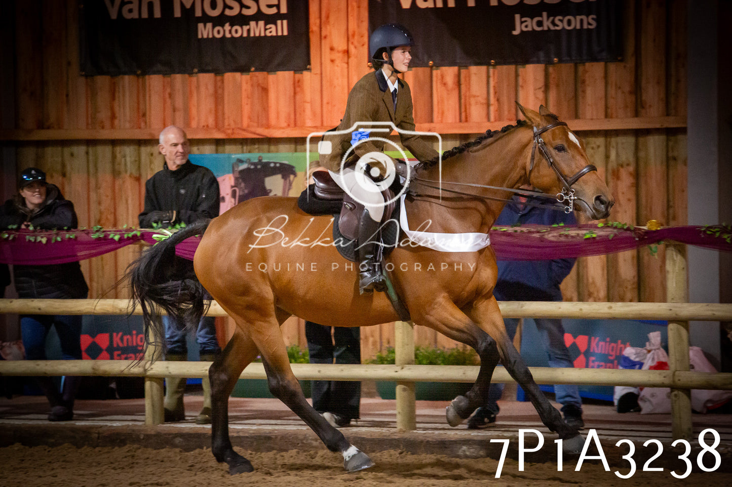 JHOYS 2025 - Ridden Showing - 28th September - pt4