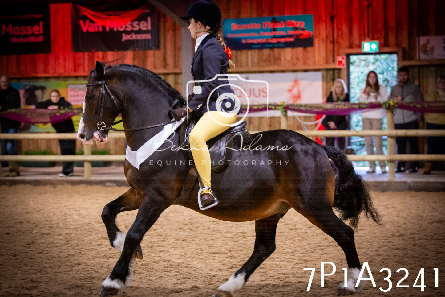 JHOYS 2025 - Ridden Showing - 28th September - pt4