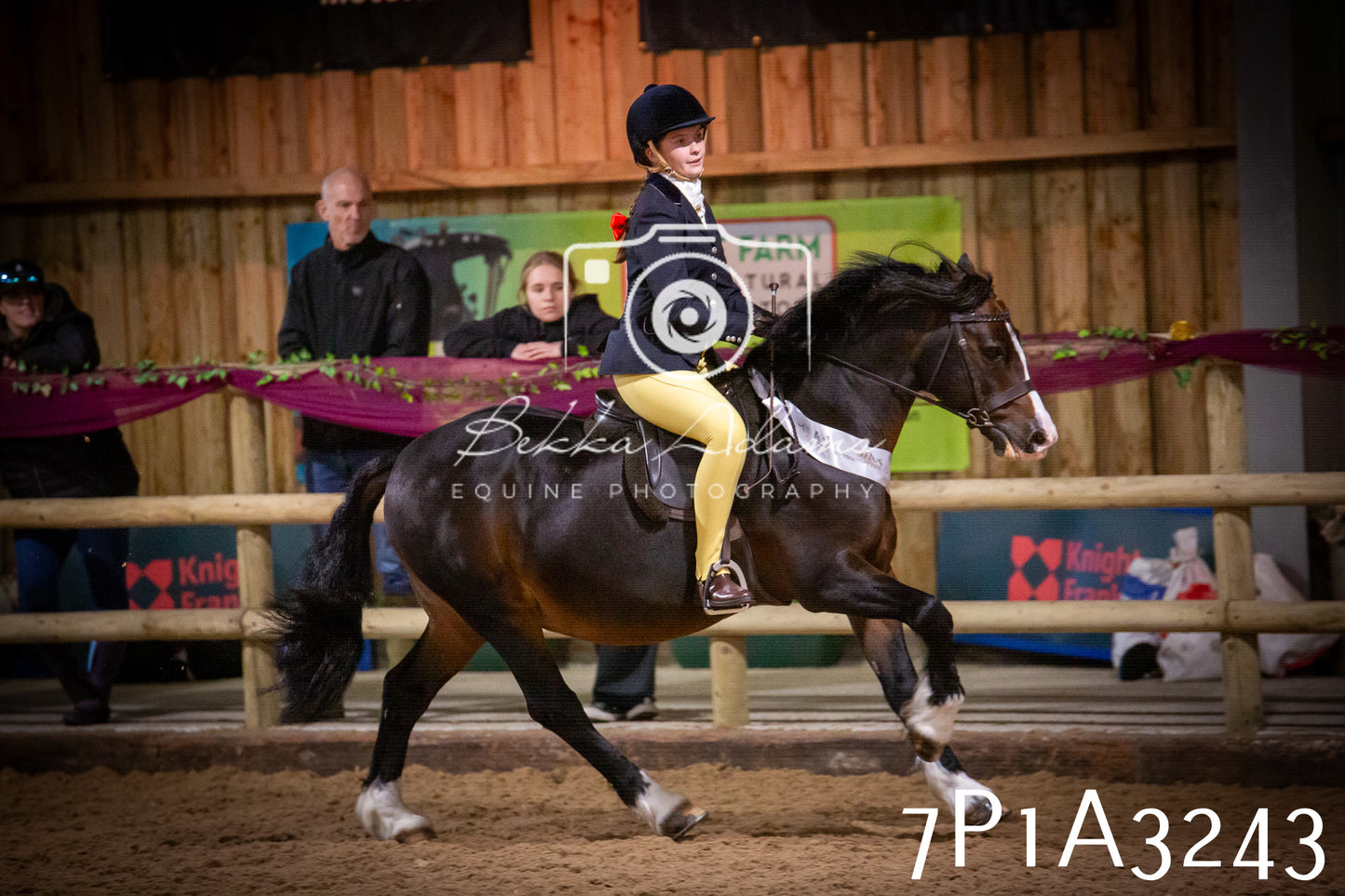 JHOYS 2025 - Ridden Showing - 28th September - pt4