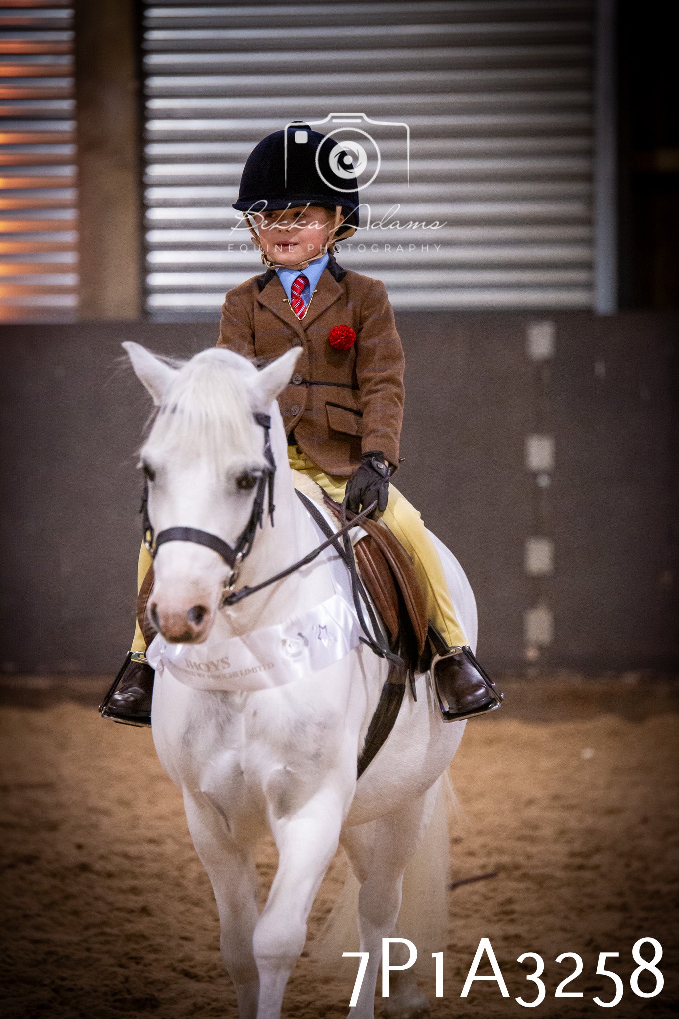 JHOYS 2025 - Ridden Showing - 28th September - pt4