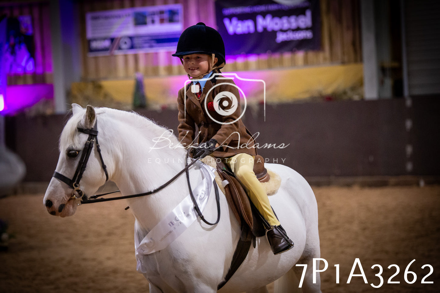 JHOYS 2025 - Ridden Showing - 28th September - pt4