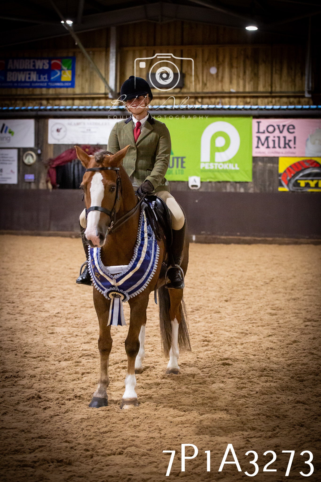 JHOYS 2025 - Ridden Showing - 28th September - pt4