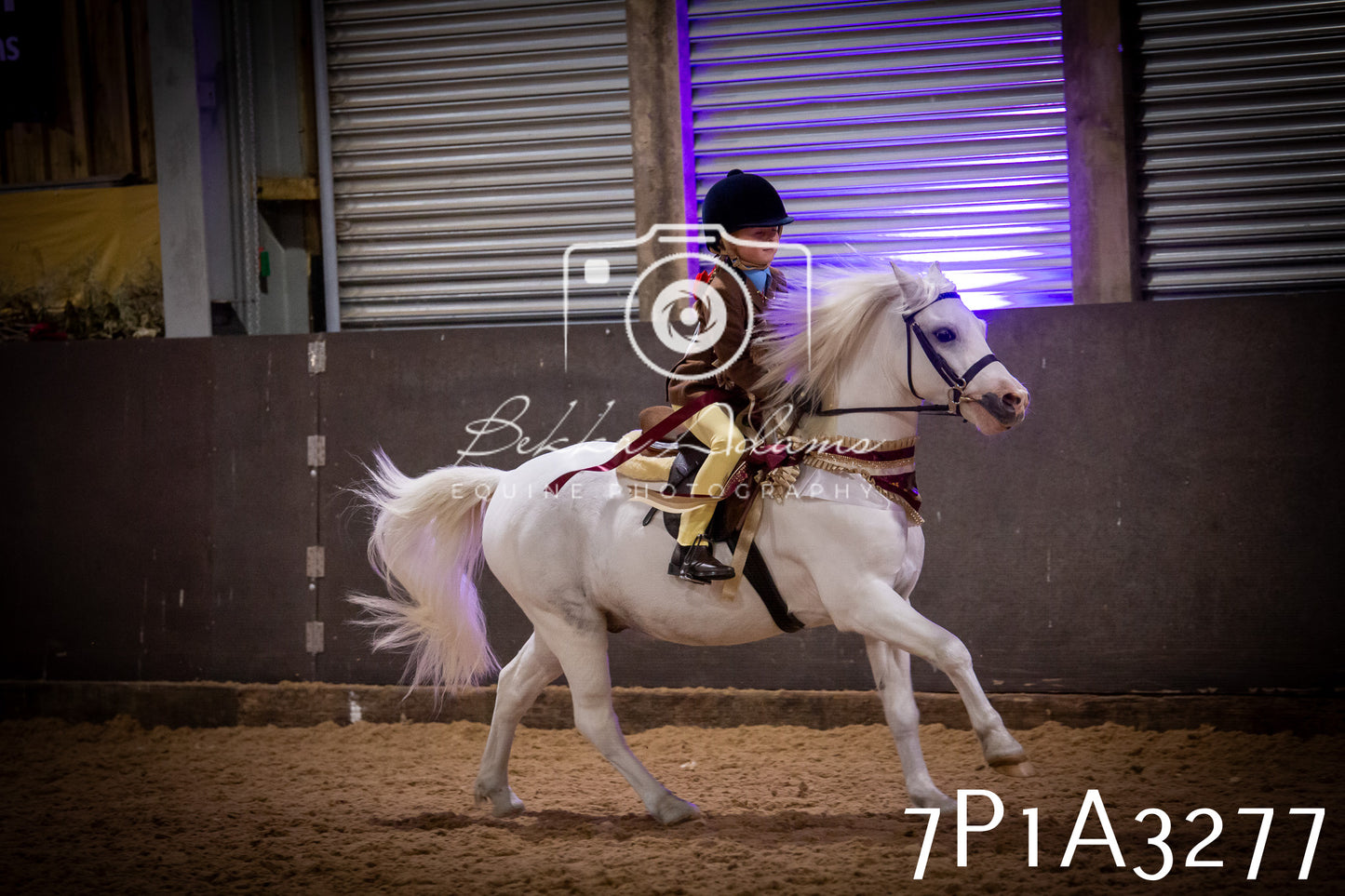 JHOYS 2025 - Ridden Showing - 28th September - pt4