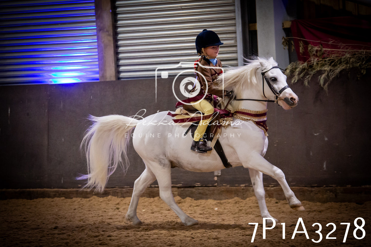 JHOYS 2025 - Ridden Showing - 28th September - pt4