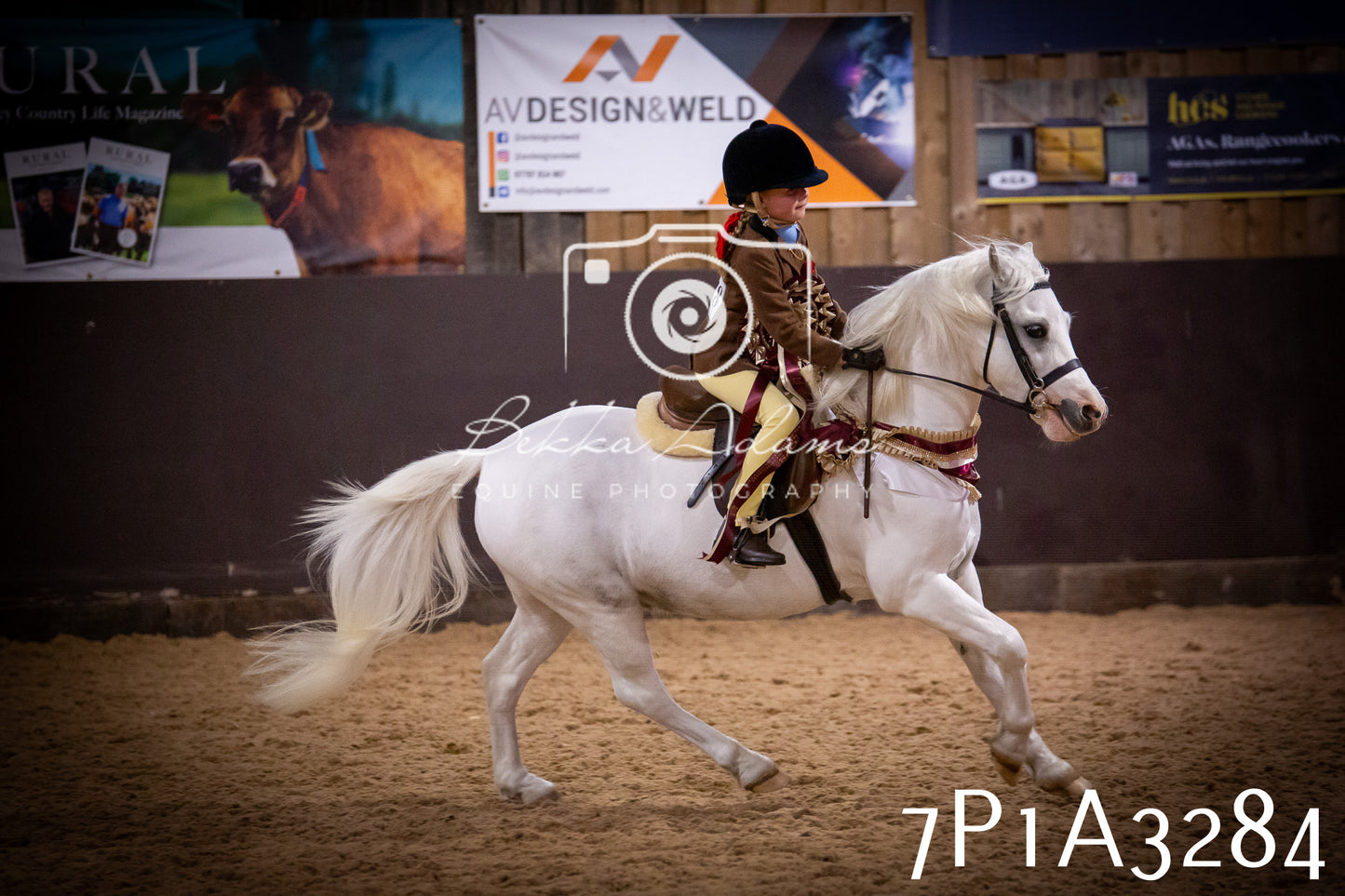 JHOYS 2025 - Ridden Showing - 28th September - pt4