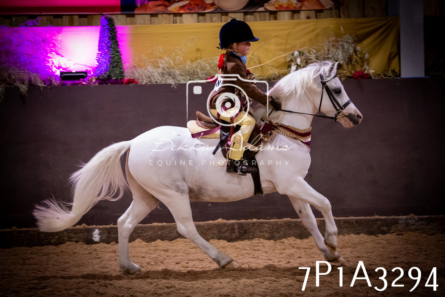 JHOYS 2025 - Ridden Showing - 28th September - pt4