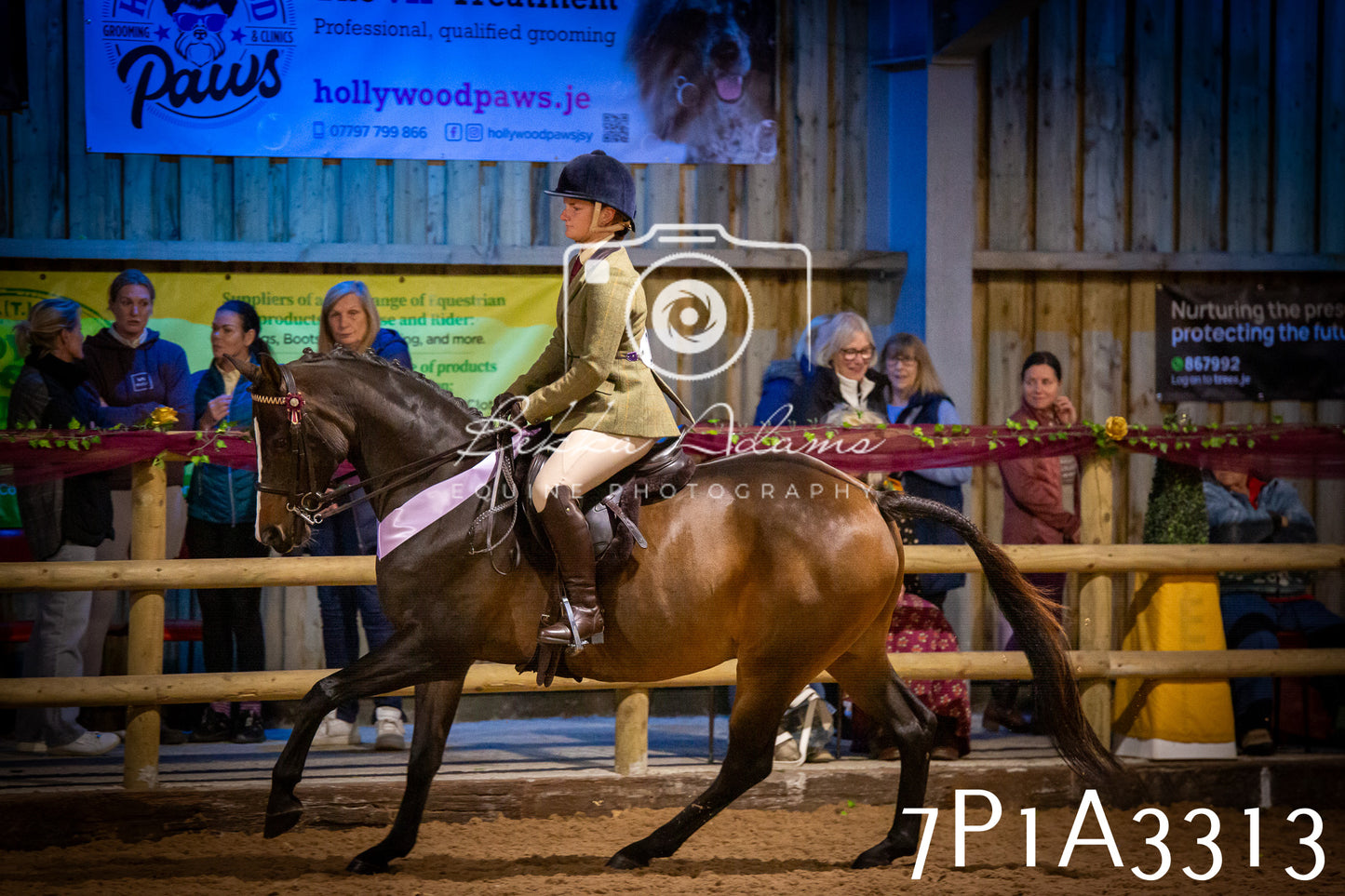 JHOYS 2025 - Ridden Showing - 28th September - pt4