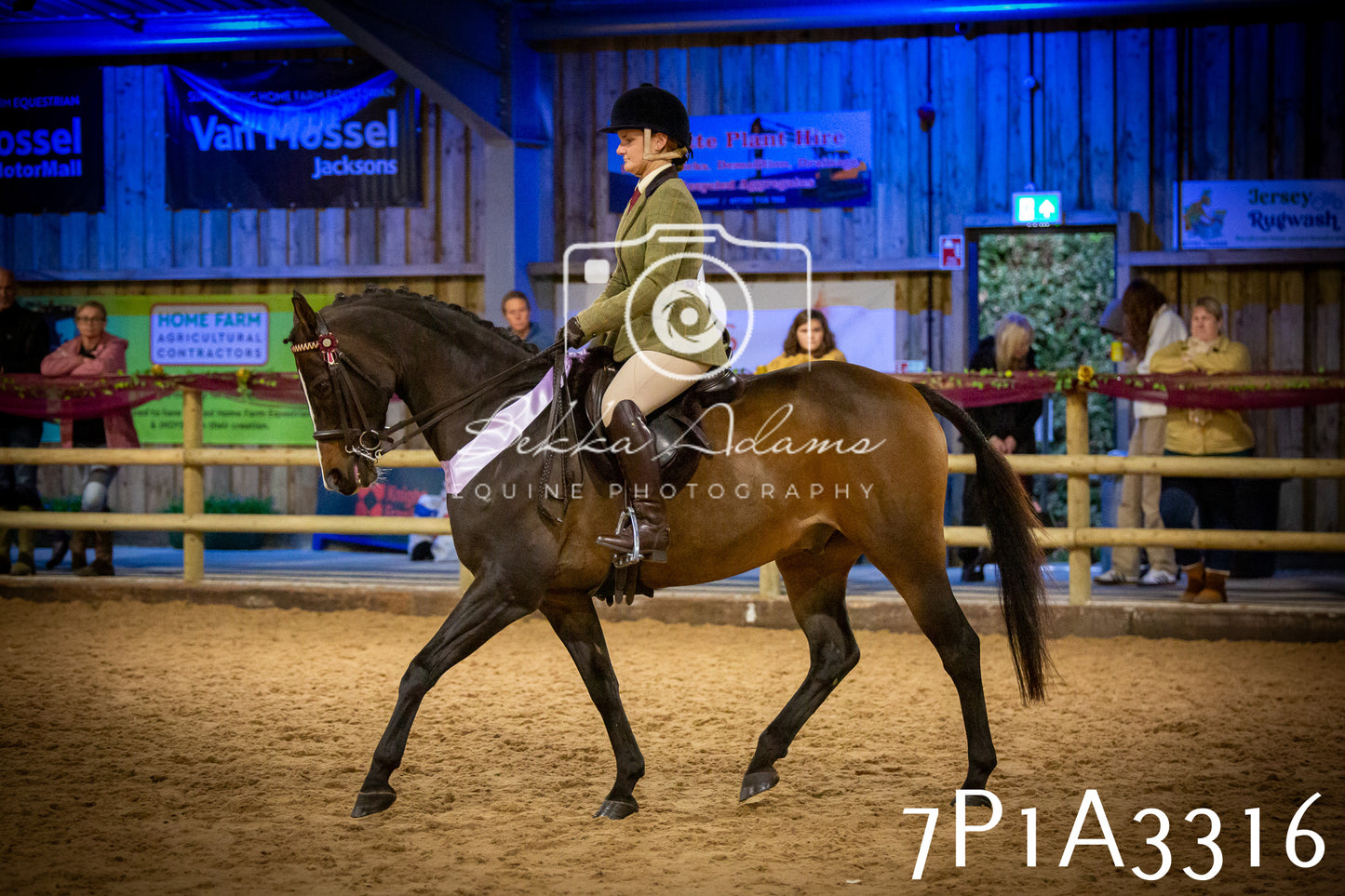 JHOYS 2025 - Ridden Showing - 28th September - pt4