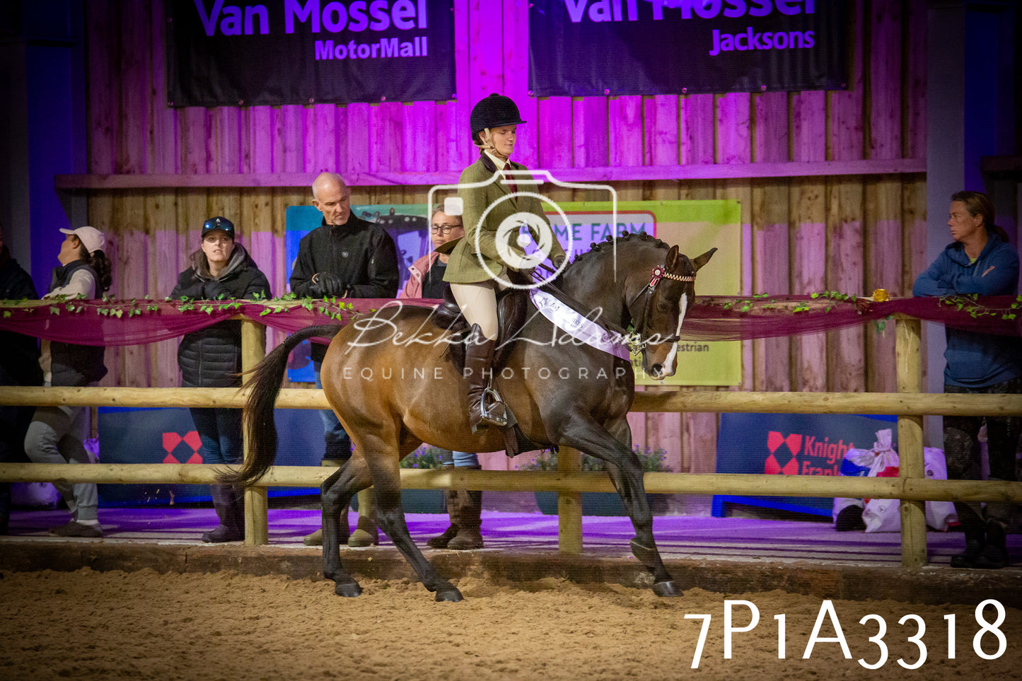 JHOYS 2025 - Ridden Showing - 28th September - pt4