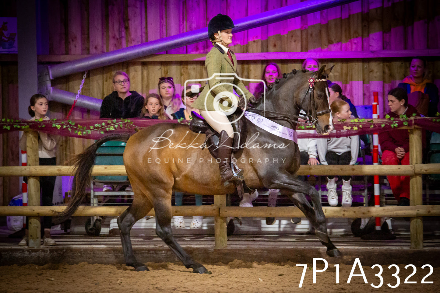 JHOYS 2025 - Ridden Showing - 28th September - pt4