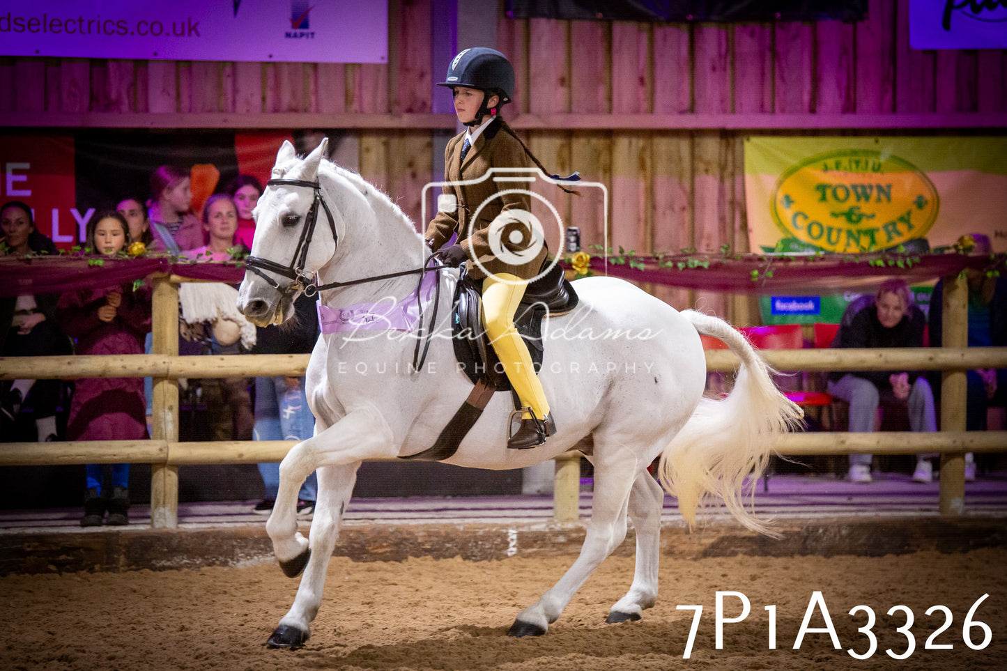 JHOYS 2025 - Ridden Showing - 28th September - pt4