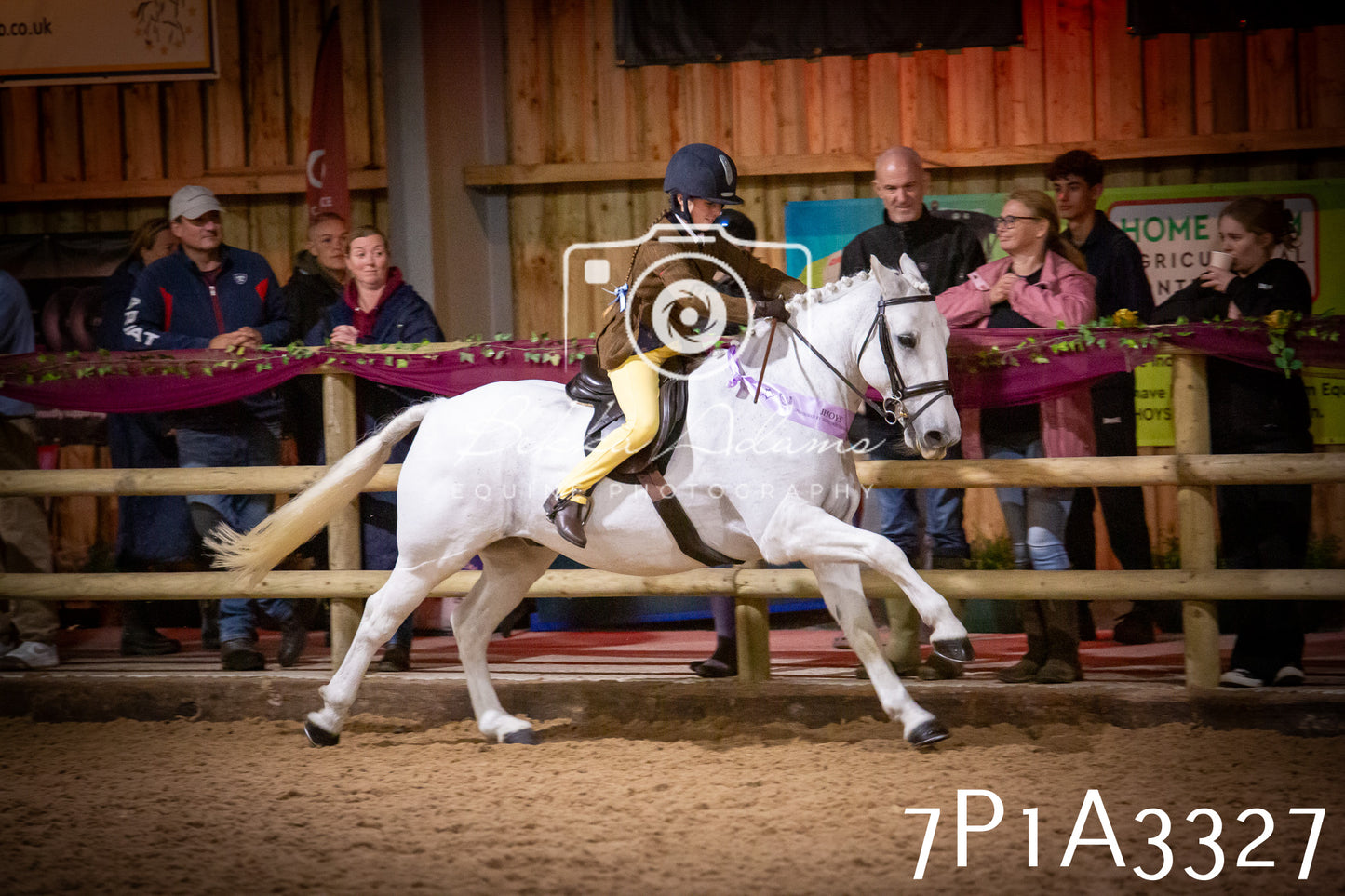 JHOYS 2025 - Ridden Showing - 28th September - pt4