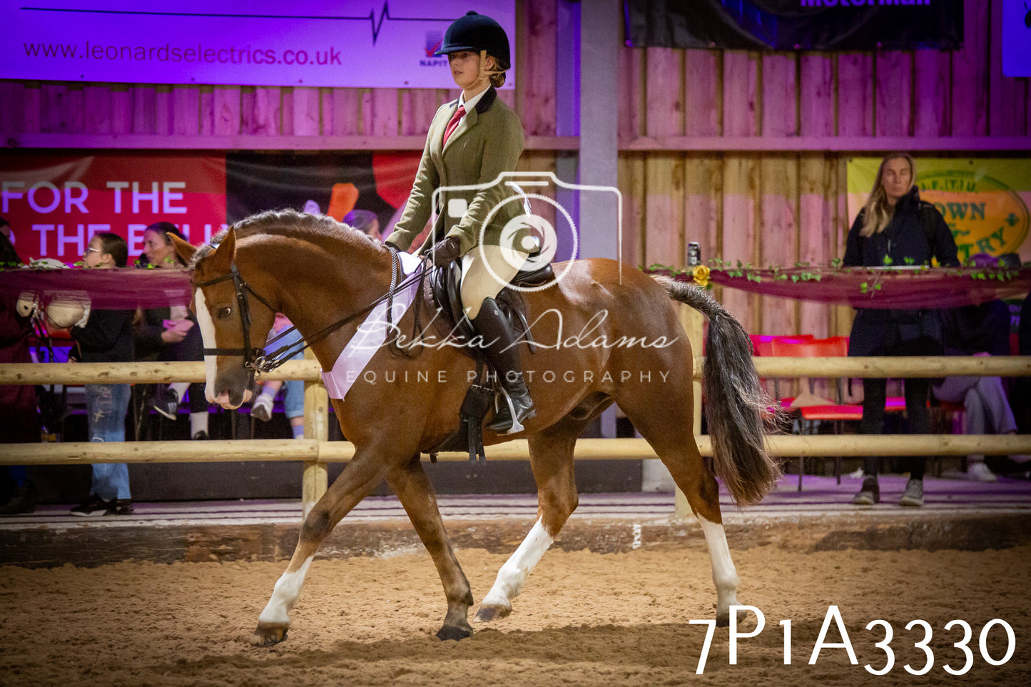 JHOYS 2025 - Ridden Showing - 28th September - pt4