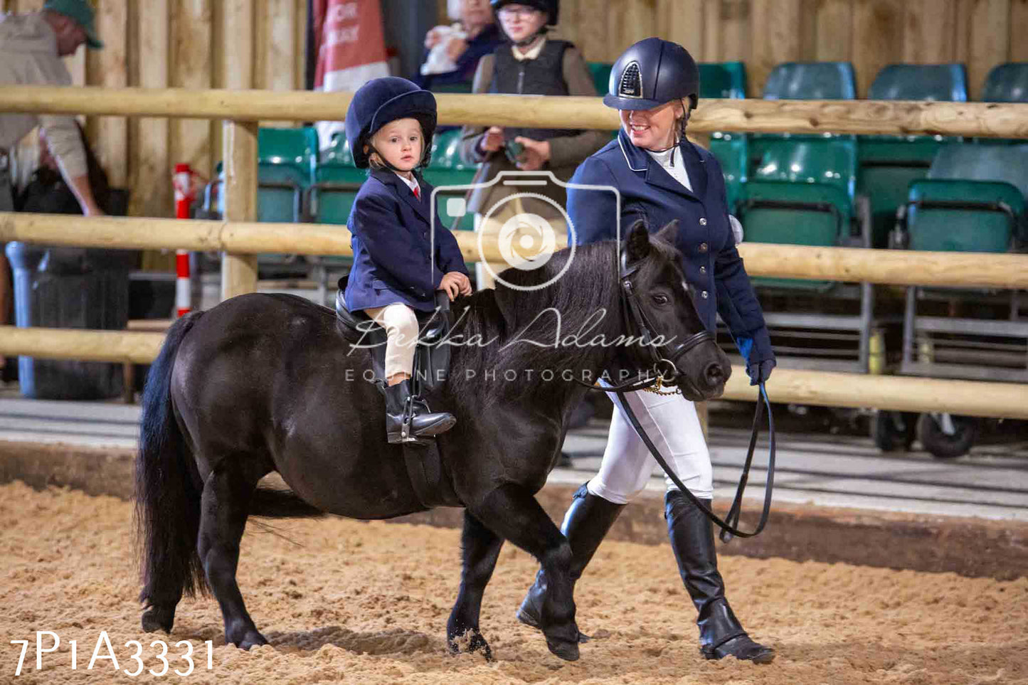 Home Farm Funshine Show 2024 - Ridden Showing 15th September