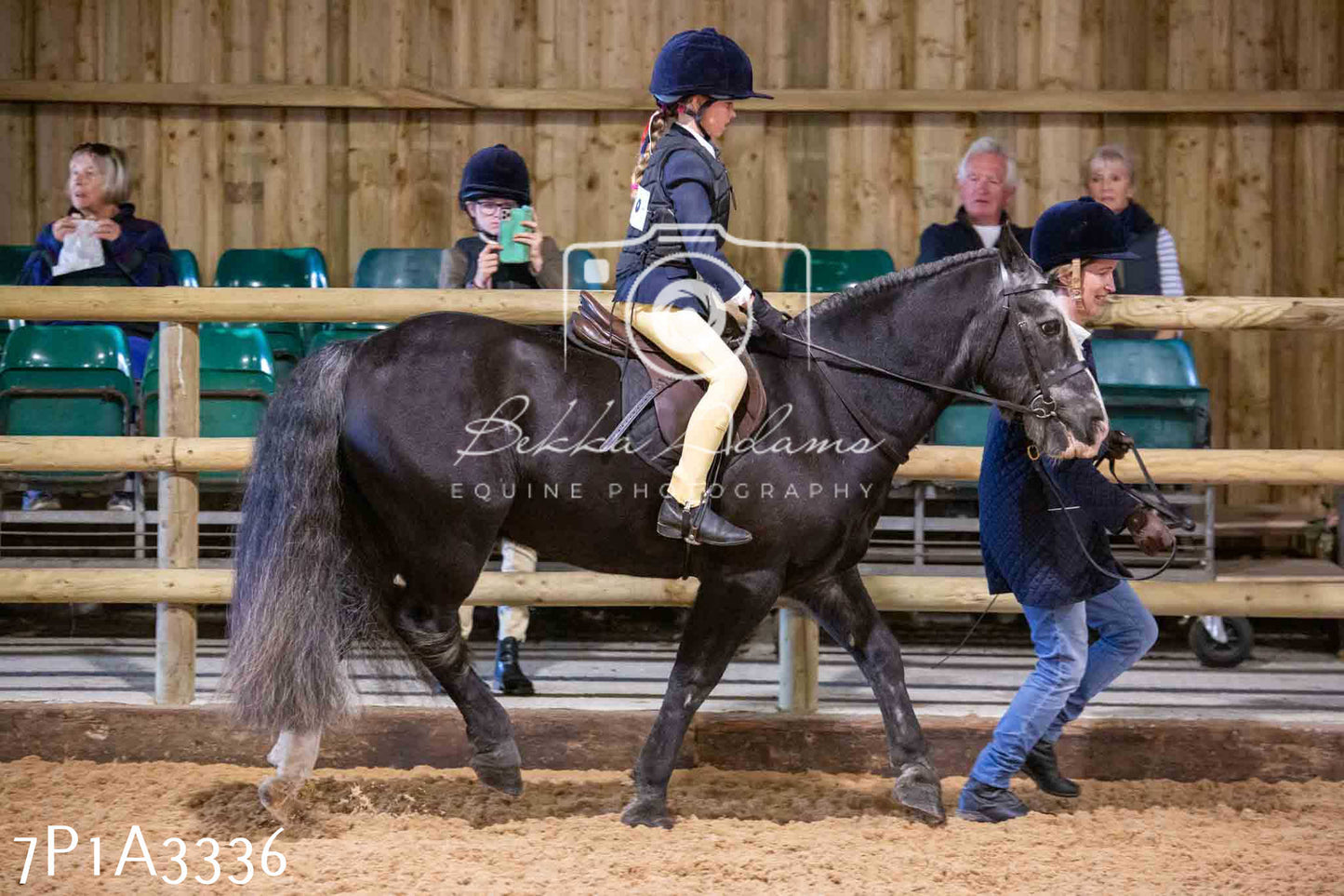 Home Farm Funshine Show 2024 - Ridden Showing 15th September