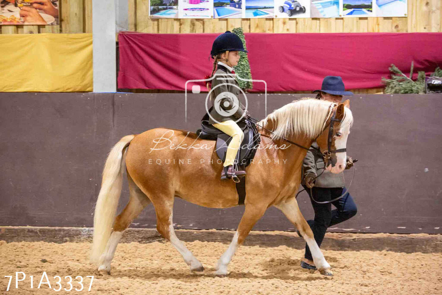 Home Farm Funshine Show 2024 - Ridden Showing 15th September