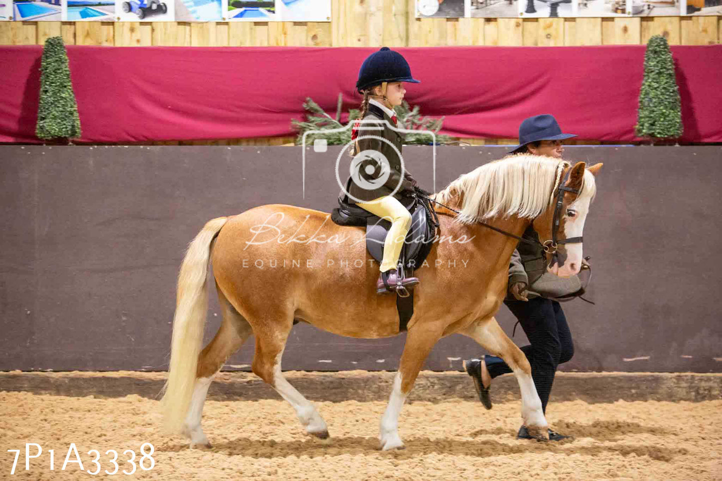 Home Farm Funshine Show 2024 - Ridden Showing 15th September